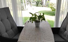 Aloha Paraiso
